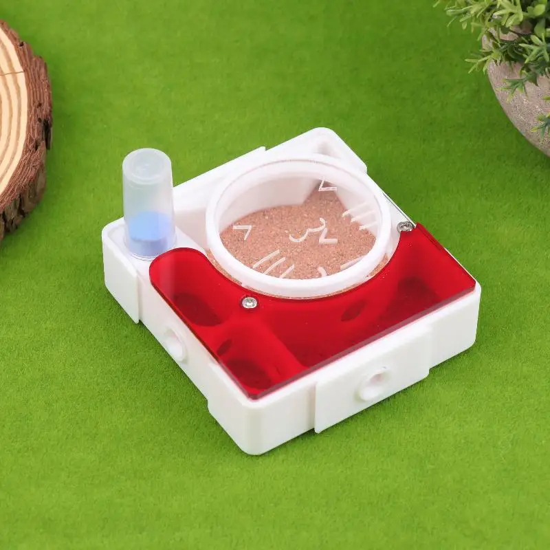 Experiment and Observe with the Queen Ant's Nest Ant Farm, Unlock the Wonders of Nature - Image 6