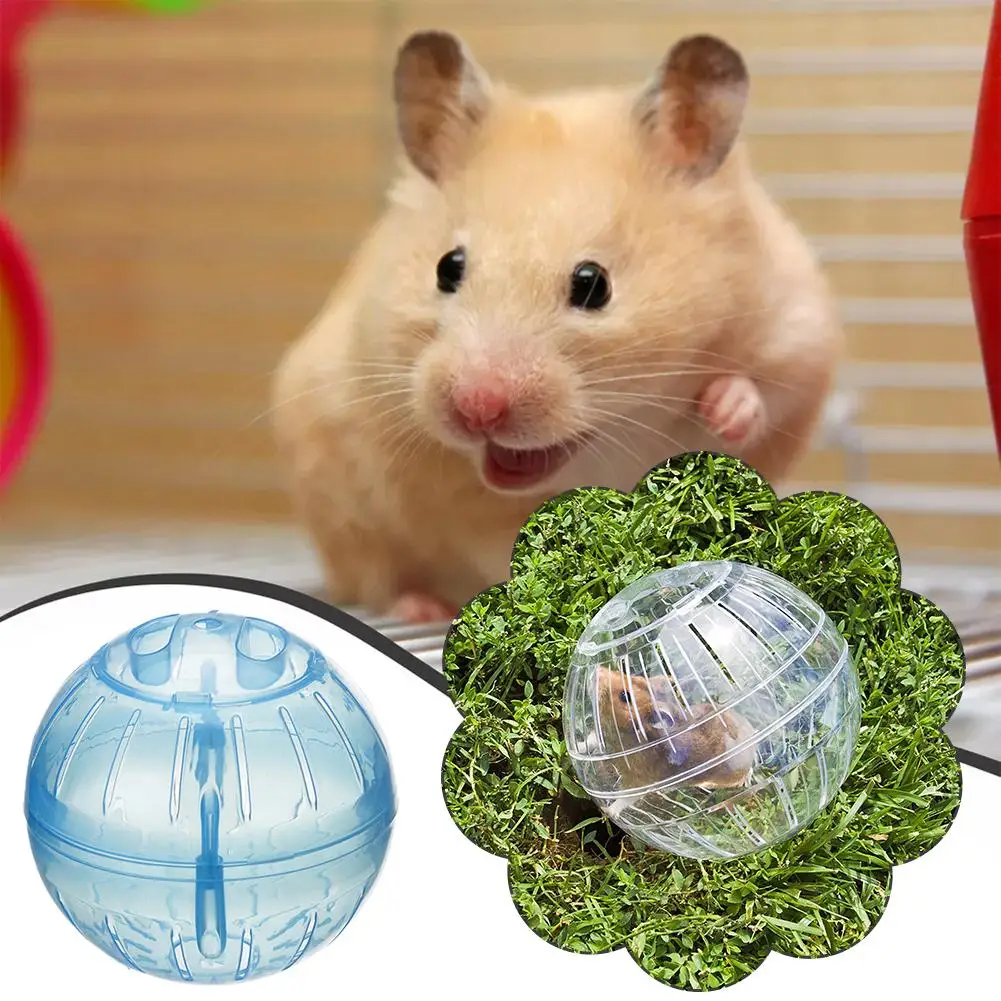 Transparent Acrylic Hamster Exercise Wheel Escape Proof Small Safe Portable Lightweight Multi Activity Pet Cage Design P5F9 - Image 2