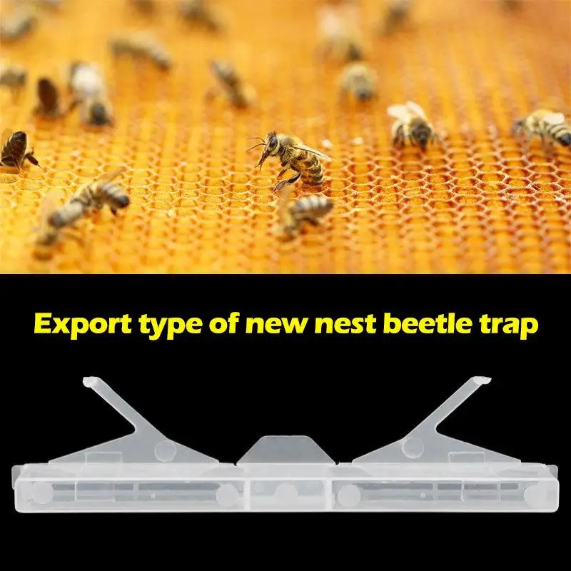 5/10Pcs Hive Beetle Trap Clear Plastic Reusable Beetle Trap Bee Health Suitable For Hive Frame Capture Beetle Beekeeper Supplies - Image 2
