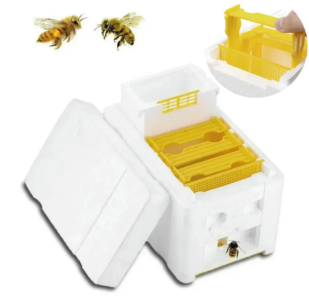 Beehive Beekeeping Box Tools Bee Hive Frame Holder Equipment Kit Beehive Pollination King Bees Hive Box For Beekeeper Supplies - Image 5