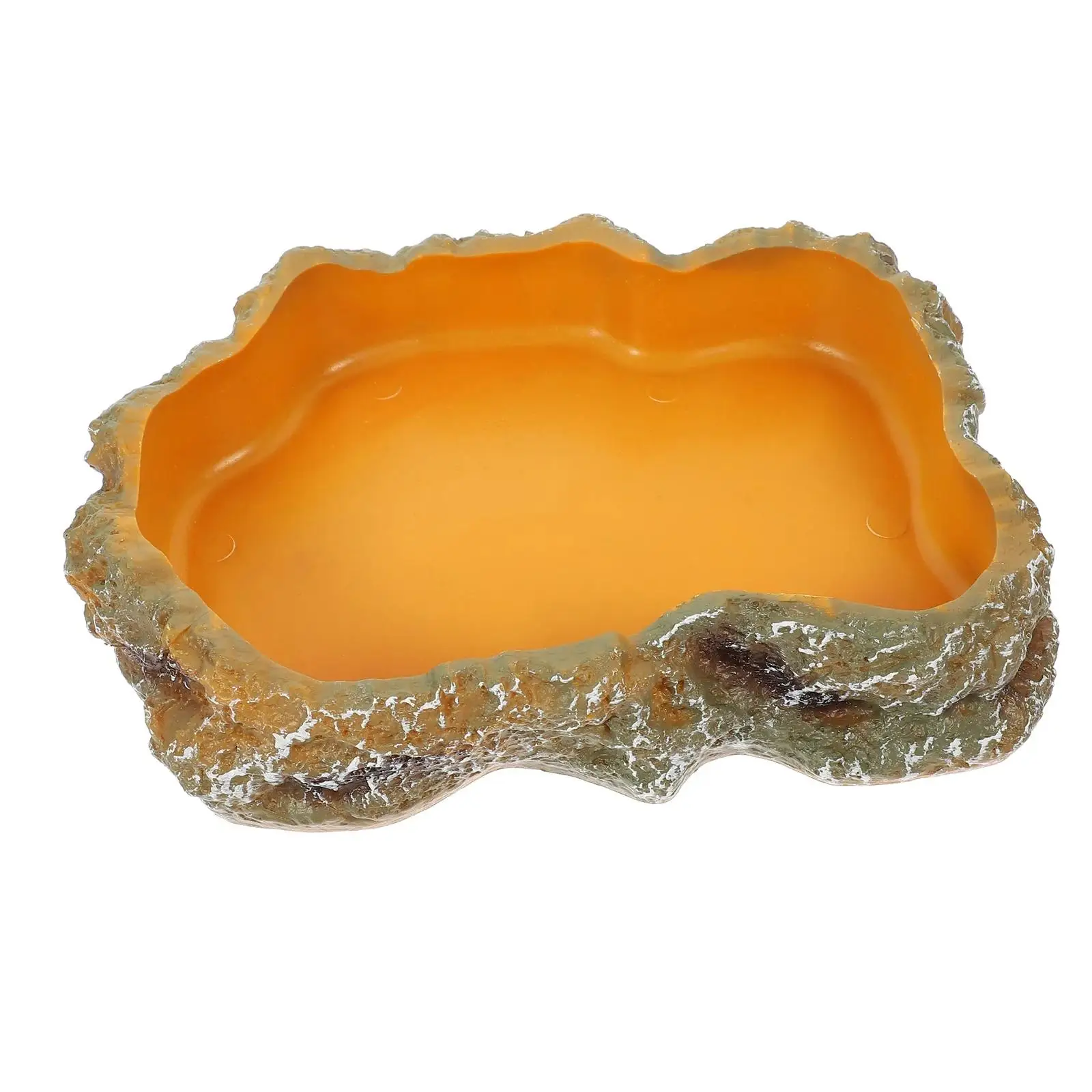 Reptile Water Bowls Terrarium Plate Reptile Feeder Amphibian Feeding Bowl for Frog Chameleon Tortoise Bearded Dragon Turtle - Image 9