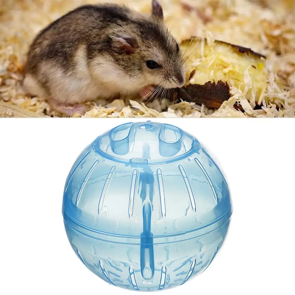 Transparent Acrylic Hamster Exercise Wheel Escape Proof Small Safe Portable Lightweight Multi Activity Pet Cage Design P5F9 - Image 4