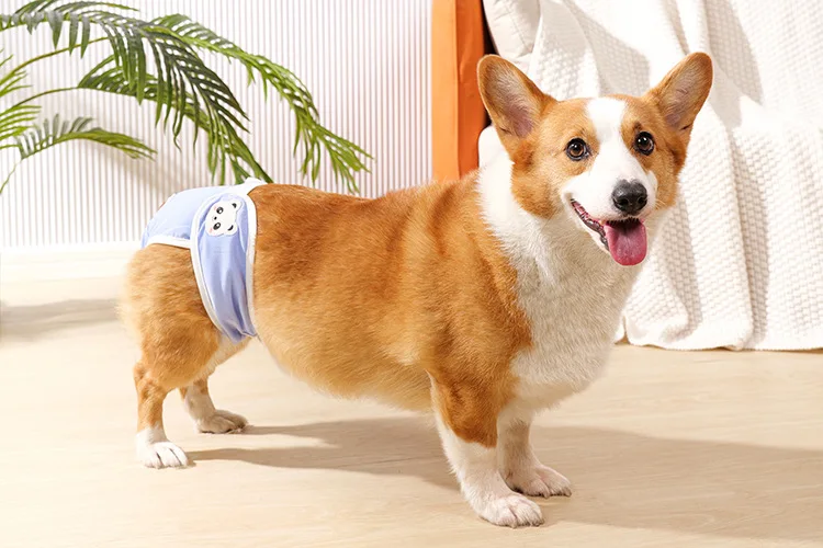 Reusable Female Dogs Diaper Pants Sanitary Female Dog Pants Diapers for Dogs Menstruation Pet Cat Physiological Safety Pants - Image 3