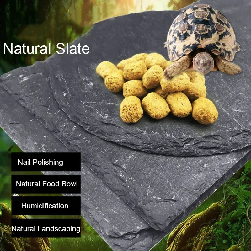 Natural Slate Aquarium Pet Reptile Feeder Bowl Basin Food Water Pot Reptile Turtle Tortoise Scorpion Lizard Crabs Supplies 10cm