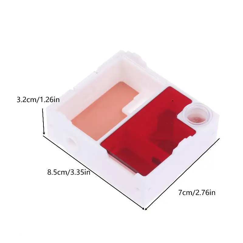 Ideal for Beginners: Ant Observation Kit Containing Flat Ant Farm, Small Ant Species and A Nesting House for Queen Ant. - Image 6