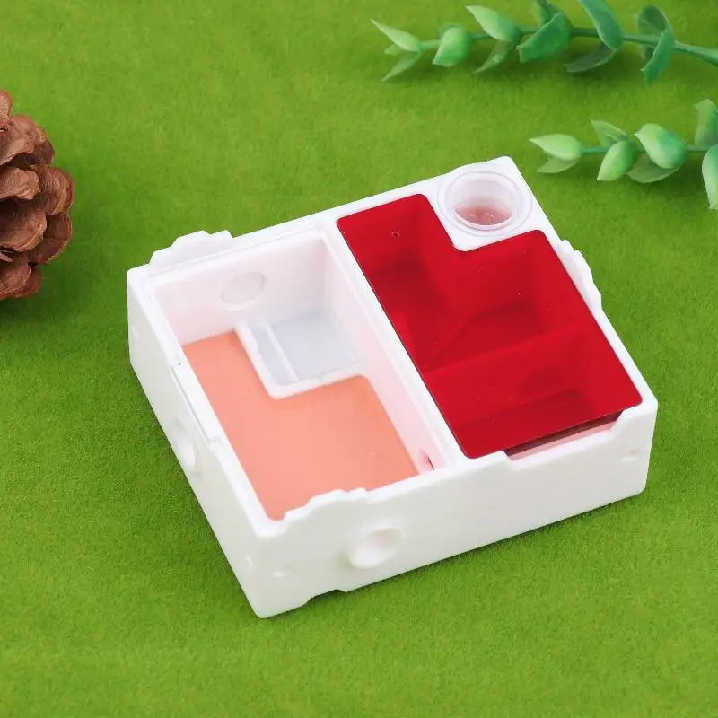 Ideal for Beginners: Ant Observation Kit Containing Flat Ant Farm, Small Ant Species and A Nesting House for Queen Ant. - Image 3