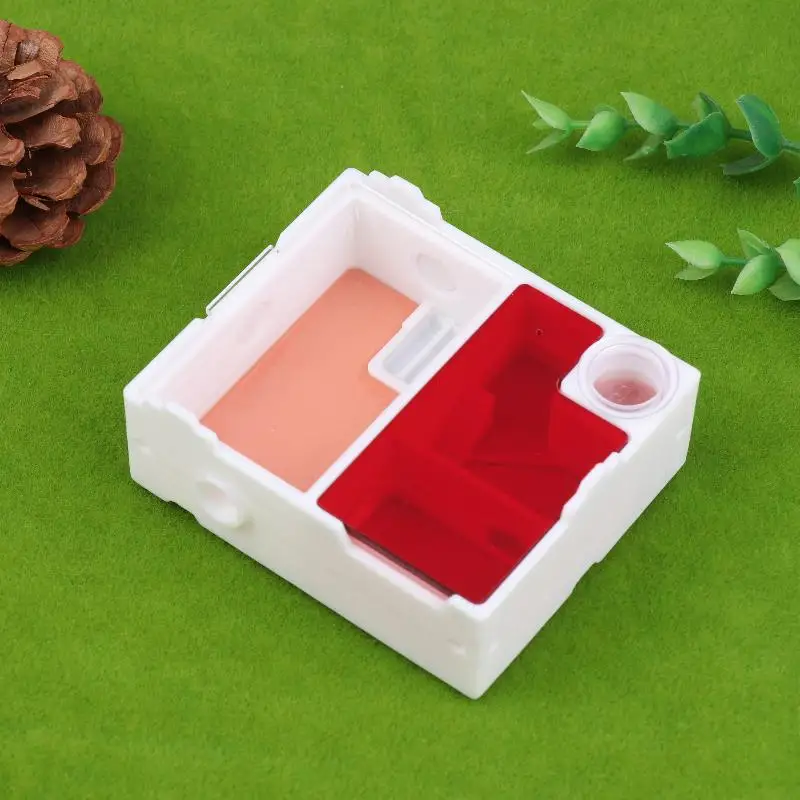 Ideal for Beginners: Ant Observation Kit Containing Flat Ant Farm, Small Ant Species and A Nesting House for Queen Ant. - Image 4