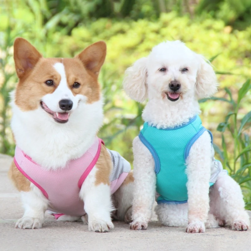 Summer Pet Dog Clothes Breathable Cooling Reflective Vest Small Medium Large Dog Puppy Cooling Quick Dry Summer Vest Pet Clothes - Image 3