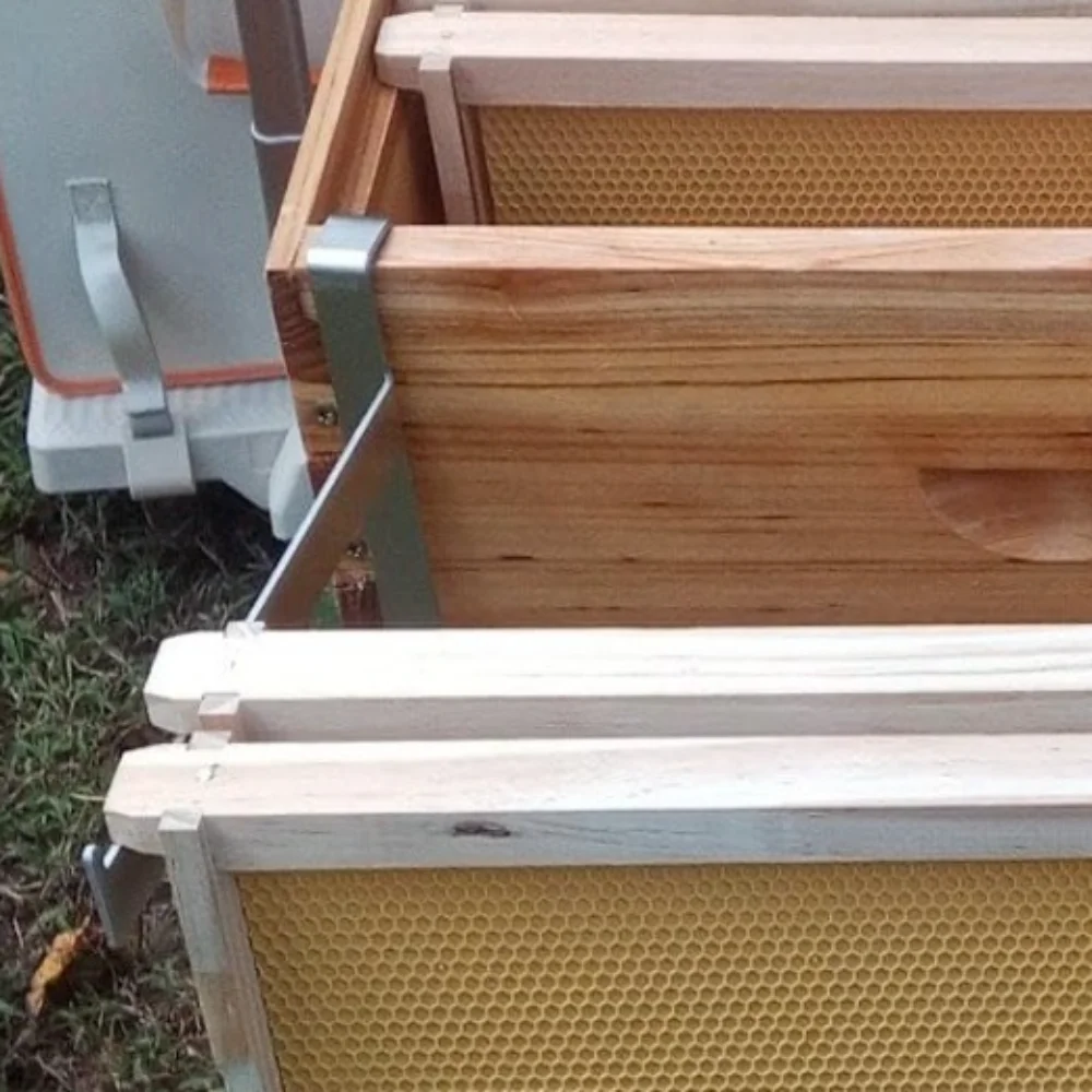 2pcs Stainless Steel Beehive Frame Holder Adjustable Multifunctional Beehive Support Rack Stable Rustproof Bee Hive Frame Grip - Image 5