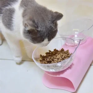 Cat Double Bowl With Raised Stand Cat Bowl Dog Bowl Non-slip Pet Food and Water Bowls For Cats Dogs Feeders Pet Feeding Supplies