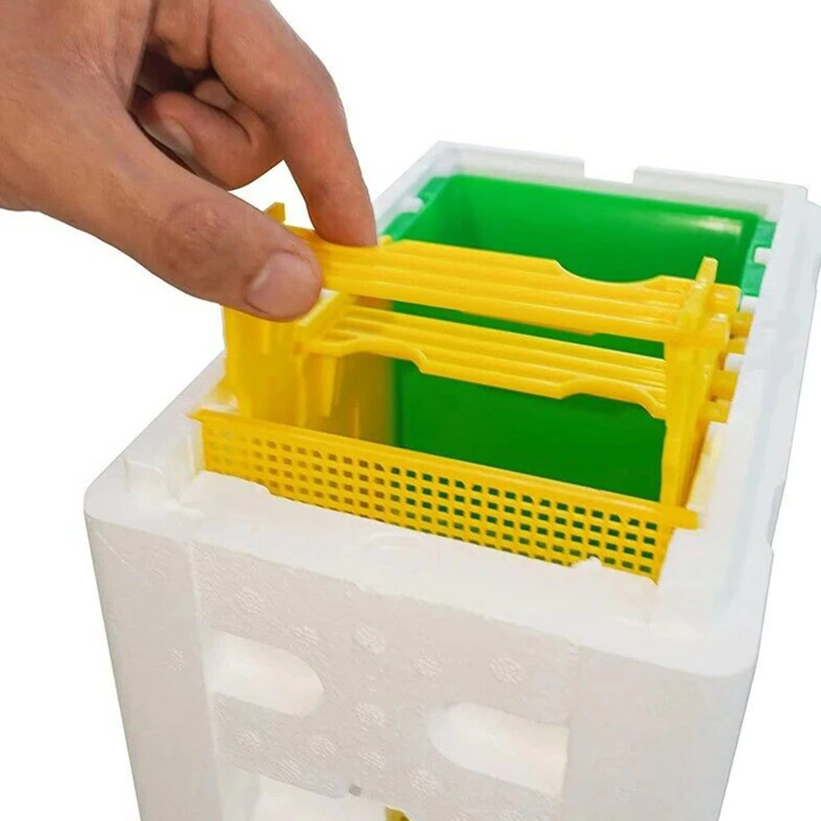 Queen Bee Breeding Box Bee Mating Box Foam Bee Hive Box Beekeeper Garden Pollination Box Bee Breeding Case Beekeeping Equipment - Image 5