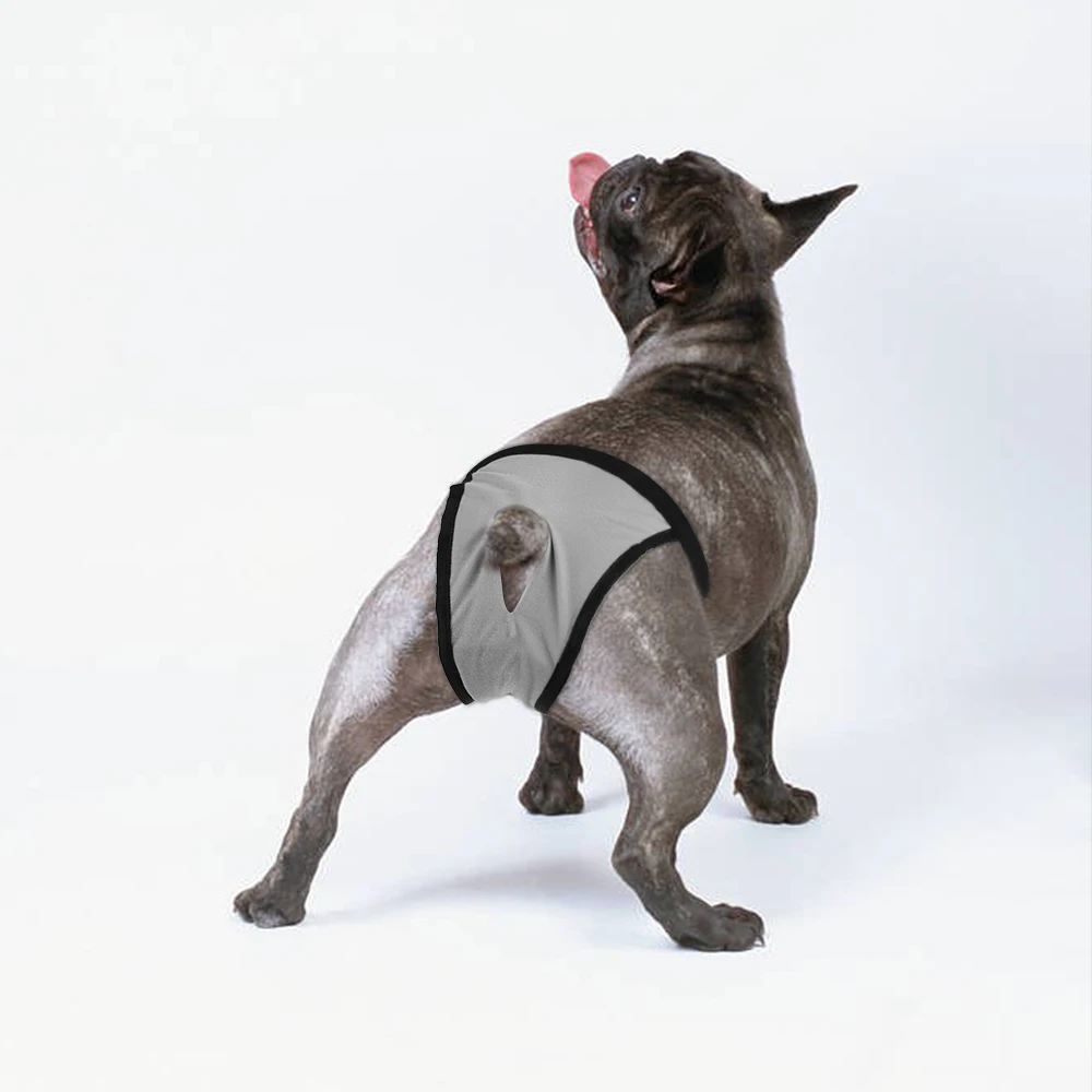 Female Dog Panties Adjustable Pet in Heat Menstrual Sanitary Physiological Pants Reusable Diapers for Small Medium Large Dogs - Image 6