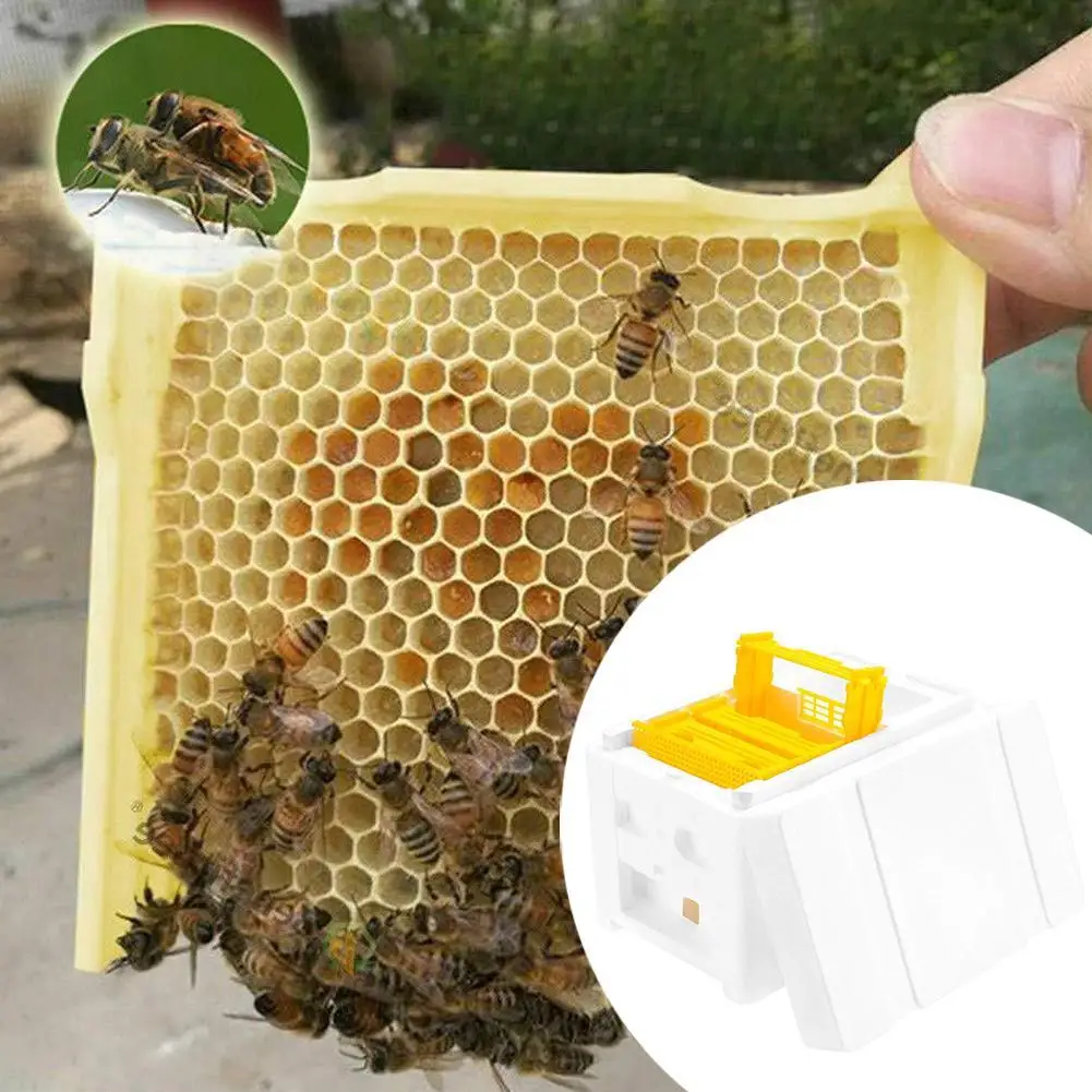 1PCS Beehive Beekeeping Box Foam Bee Breeding Box Queen King Bee Hives Boxes Pollination Bee House Beekeeping Equipment - Image 3