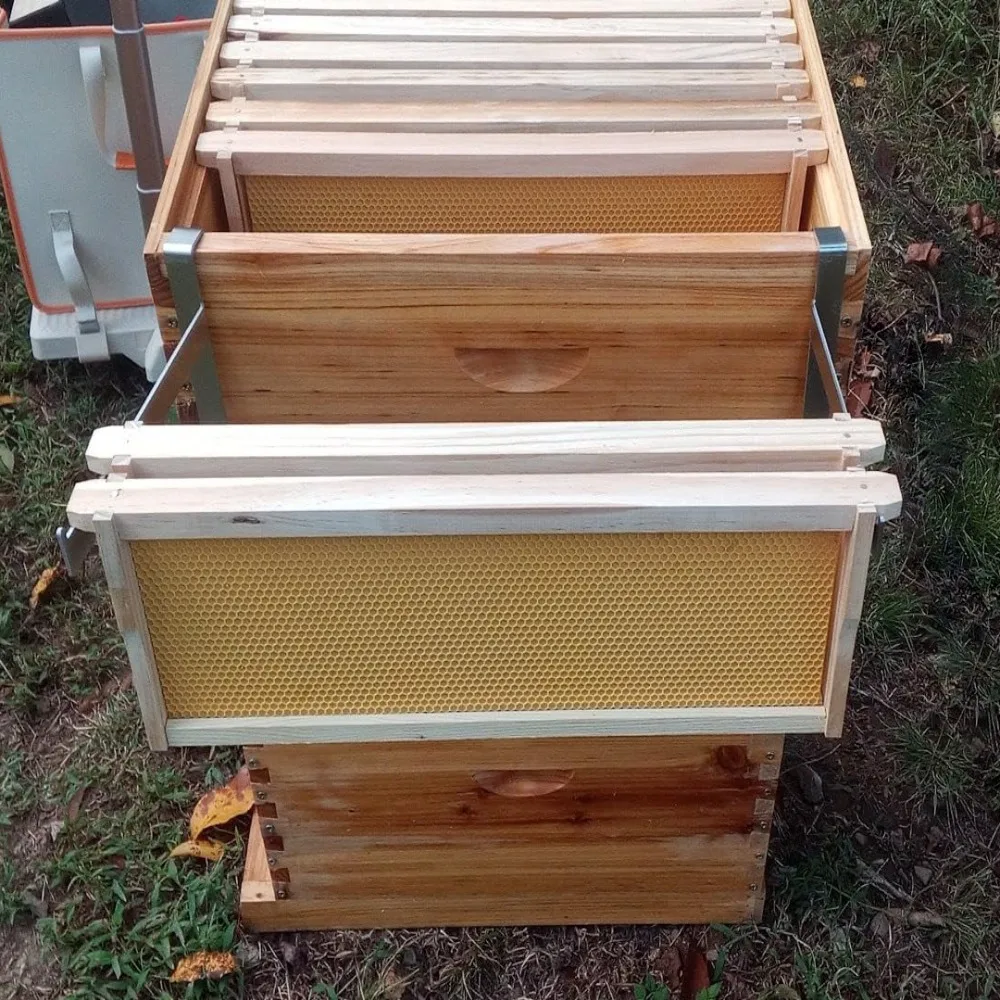 2pcs Stainless Steel Beehive Frame Holder Adjustable Multifunctional Beehive Support Rack Stable Rustproof Bee Hive Frame Grip - Image 2