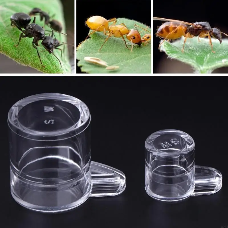 Ant Feeder Water Feed Area For Ant Nest House Farm Acrylic Round Drinking Bowl - Image 2