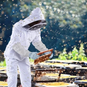 Professional Beekeeping Suit |   Full-Body Protective Gear with Veil Hood |   Breathable & Durable Fabric |   Ideal for Urban Ag