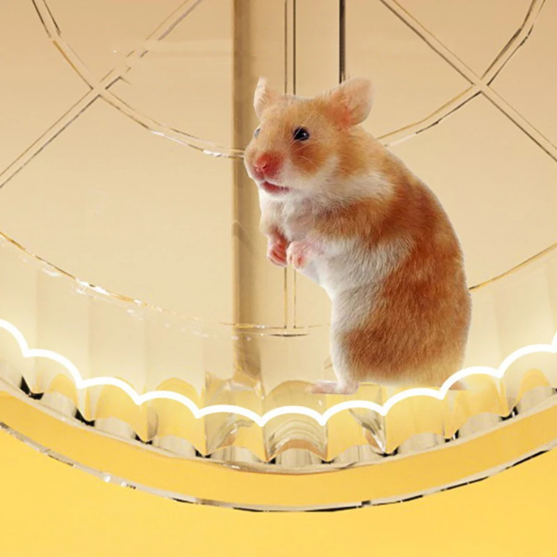 Hamster Cage Wheel Hamster Exercise Wheel Acrylic Transparent Prevent Slip Versatile Easy To Clean With Stand For Hamster Cage - Image 6