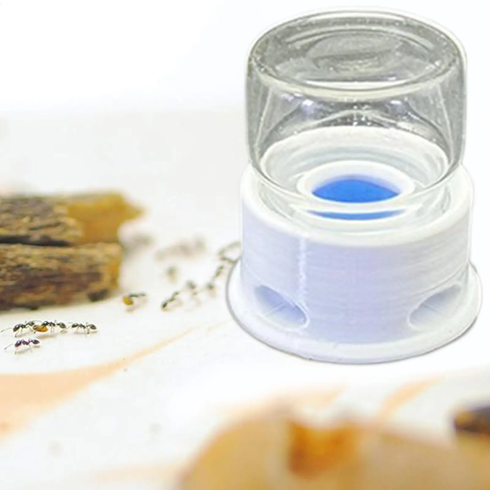 Ant Feeder Crickets Water Station Anti-Drowning Transparent Drinking Feeder for Ant Bee Crickets Home Classroom Outdoors - Image 2