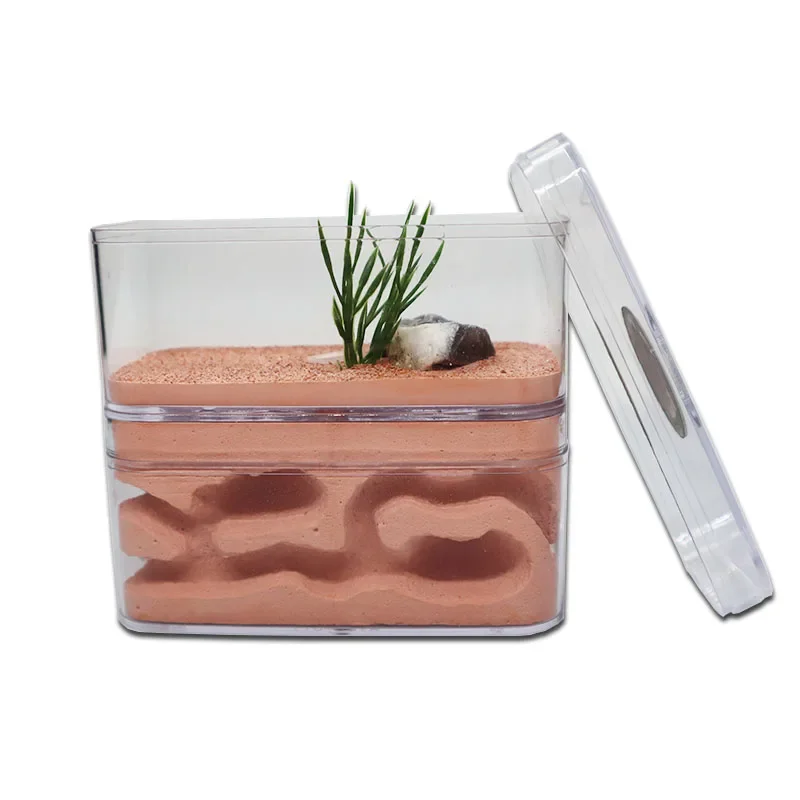 Plaster Ant Farm with Workshop Highly Moisturizing Ant Nest Pet Anthil Castle Ant House with Feeding Area Insect Box 12*6*10cm - Image 2