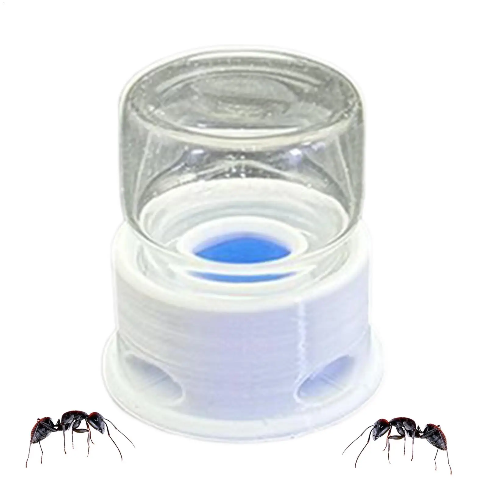 Ant Feeder Crickets Water Station Anti-Drowning Transparent Drinking Feeder for Ant Bee Crickets Home Classroom Outdoors