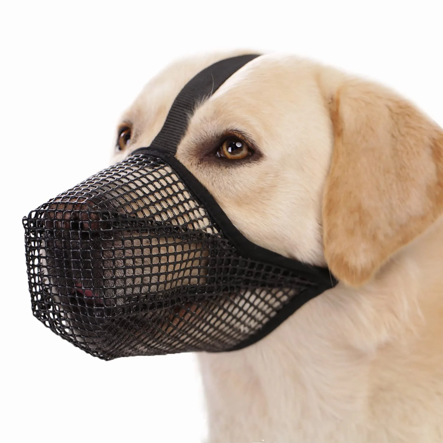 Dog Muzzle, Soft Mesh Covered Muzzles Poisoned Bait Protection With Adjustable Straps, Prevent Biting Chewing And Licking - Image 3