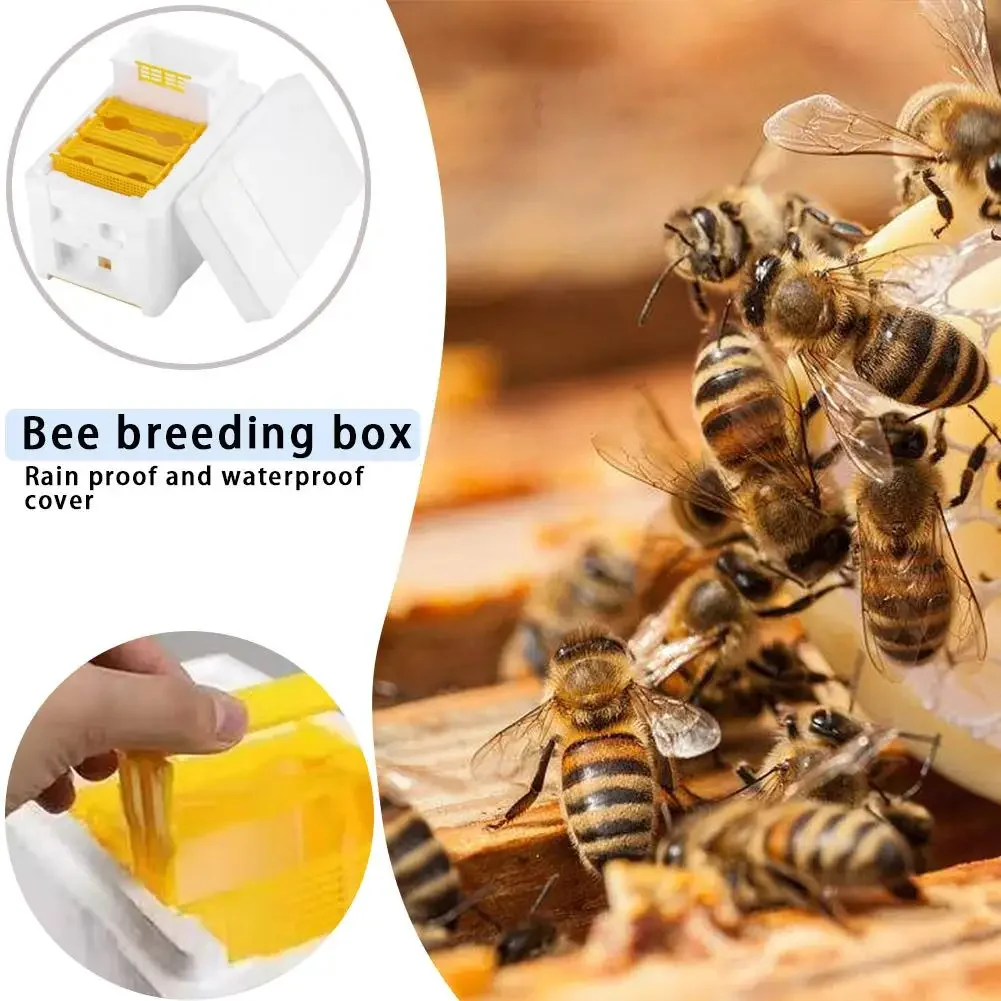 Beehive Beekeeping Box Tools Bee Hive Frame Holder Equipment Kit Beehive Pollination King Bees Hive Box For Beekeeper Supplies - Image 3