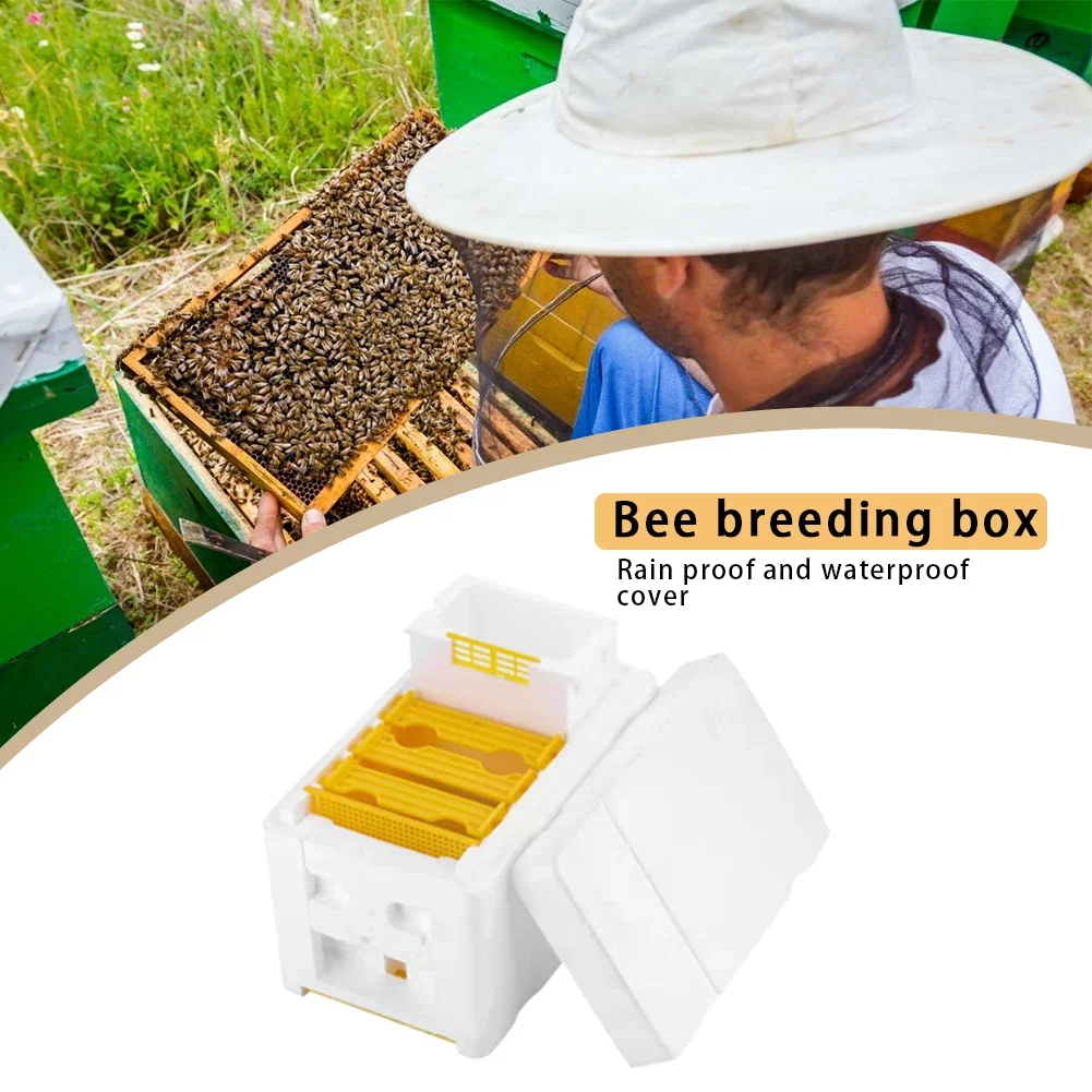 Beehive Beekeeping Box Tools Bee Hive Frame Holder Equipment Kit Beehive Pollination King Bees Hive Box For Beekeeper Supplies - Image 6