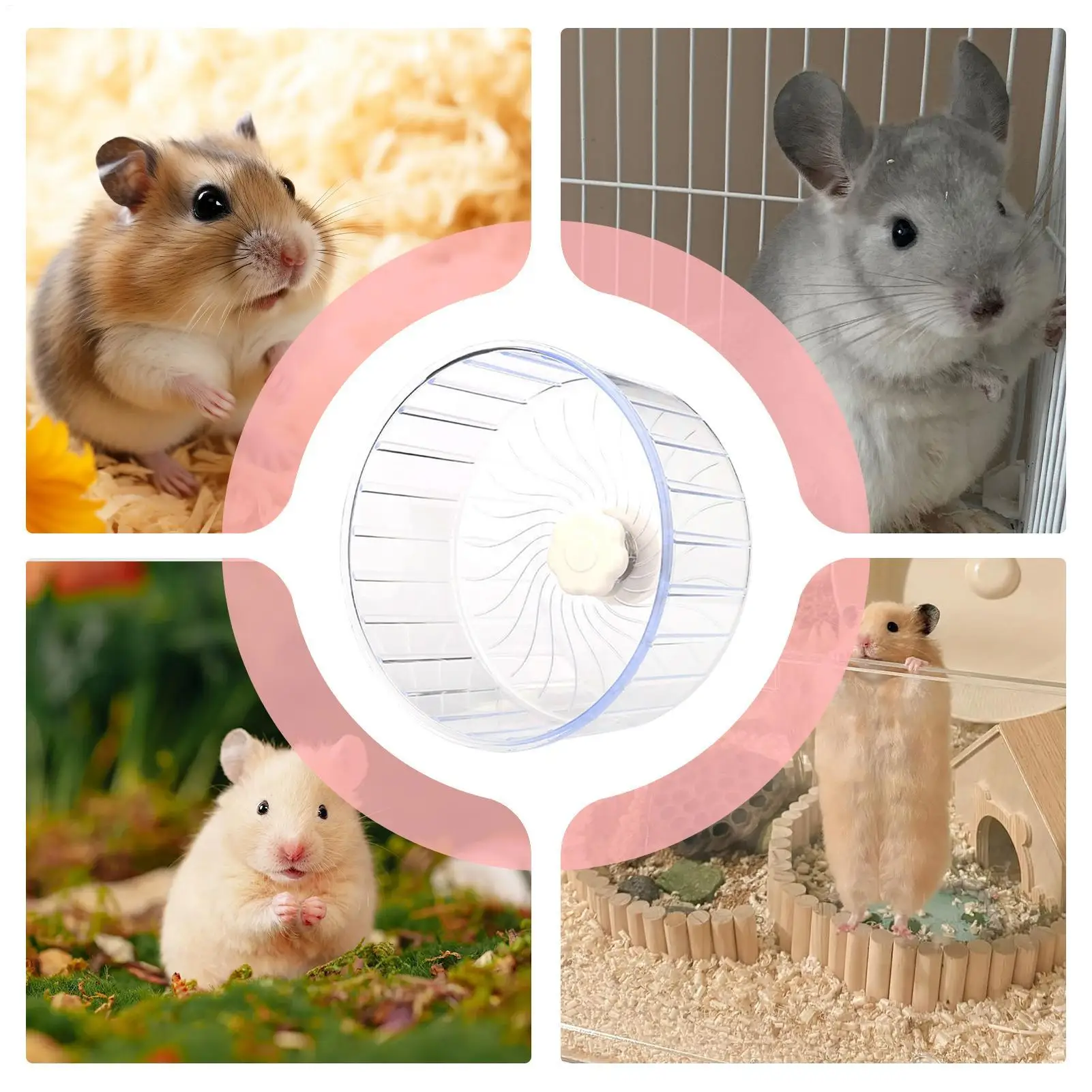 Silent Hamster Exercise Wheel Double Bearing Spinner Running Toy Small Animal Cage Accessories for Mice Hamsters Gerbils Pets - Image 6