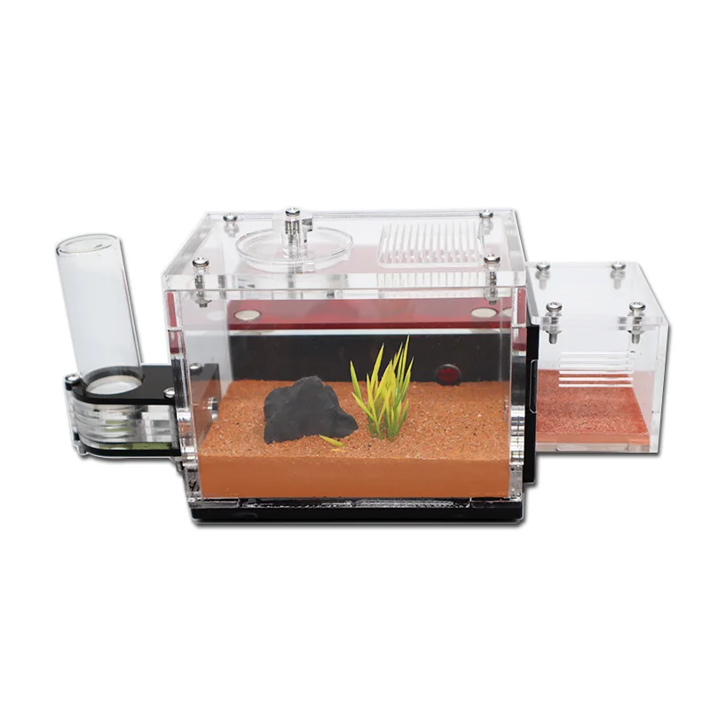 Hot sale Ant farm nest with External Water Tower with Garbage Area Anthill Castle Insect Box Concrete Ant House 15*11.5*9cm - Image 2
