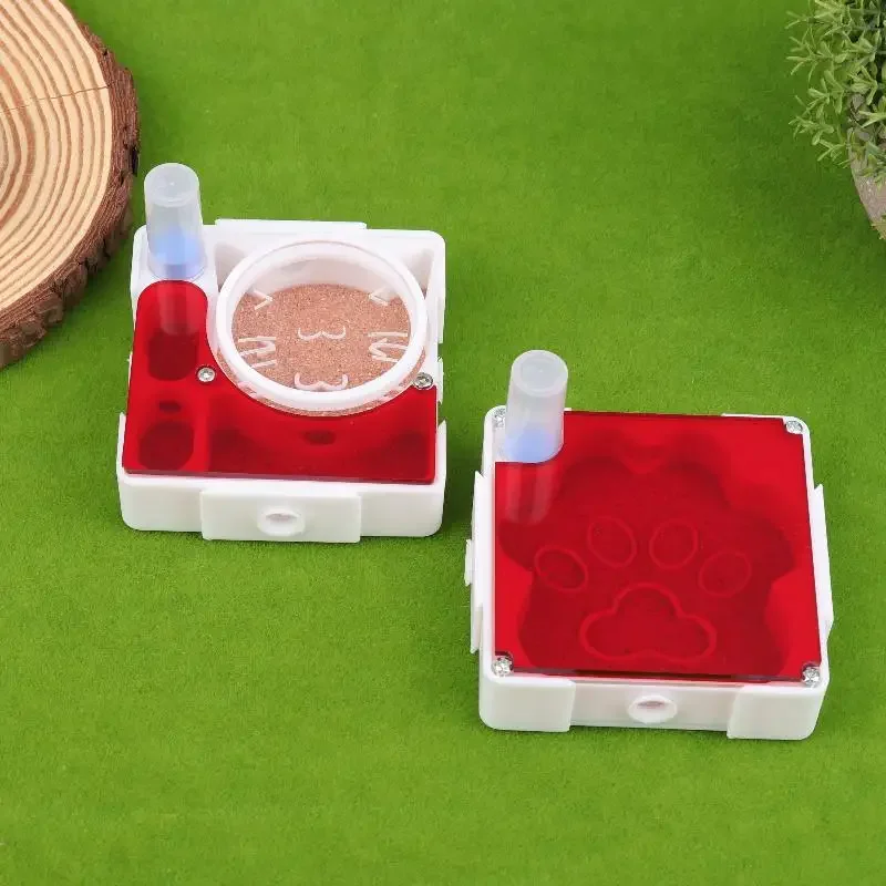 Experiment and Observe with the Queen Ant's Nest Ant Farm, Unlock the Wonders of Nature - Image 4