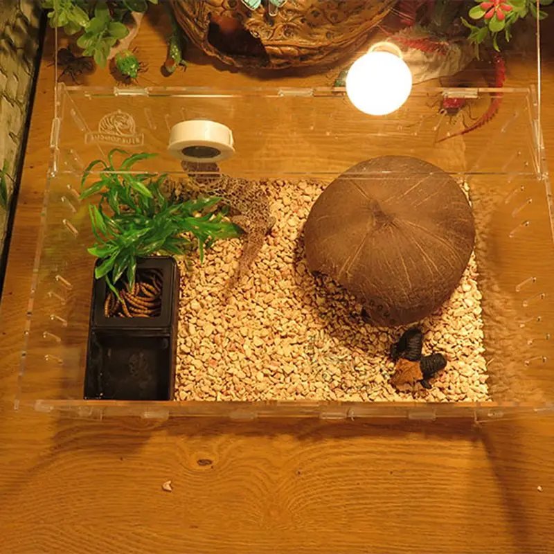 Plastic Reptile Feeder Bowl Double Grid Anti-escape Food Water Feeding Basin Spider Lizard Insect Tortoise Breeding Supplies Pet - Image 6