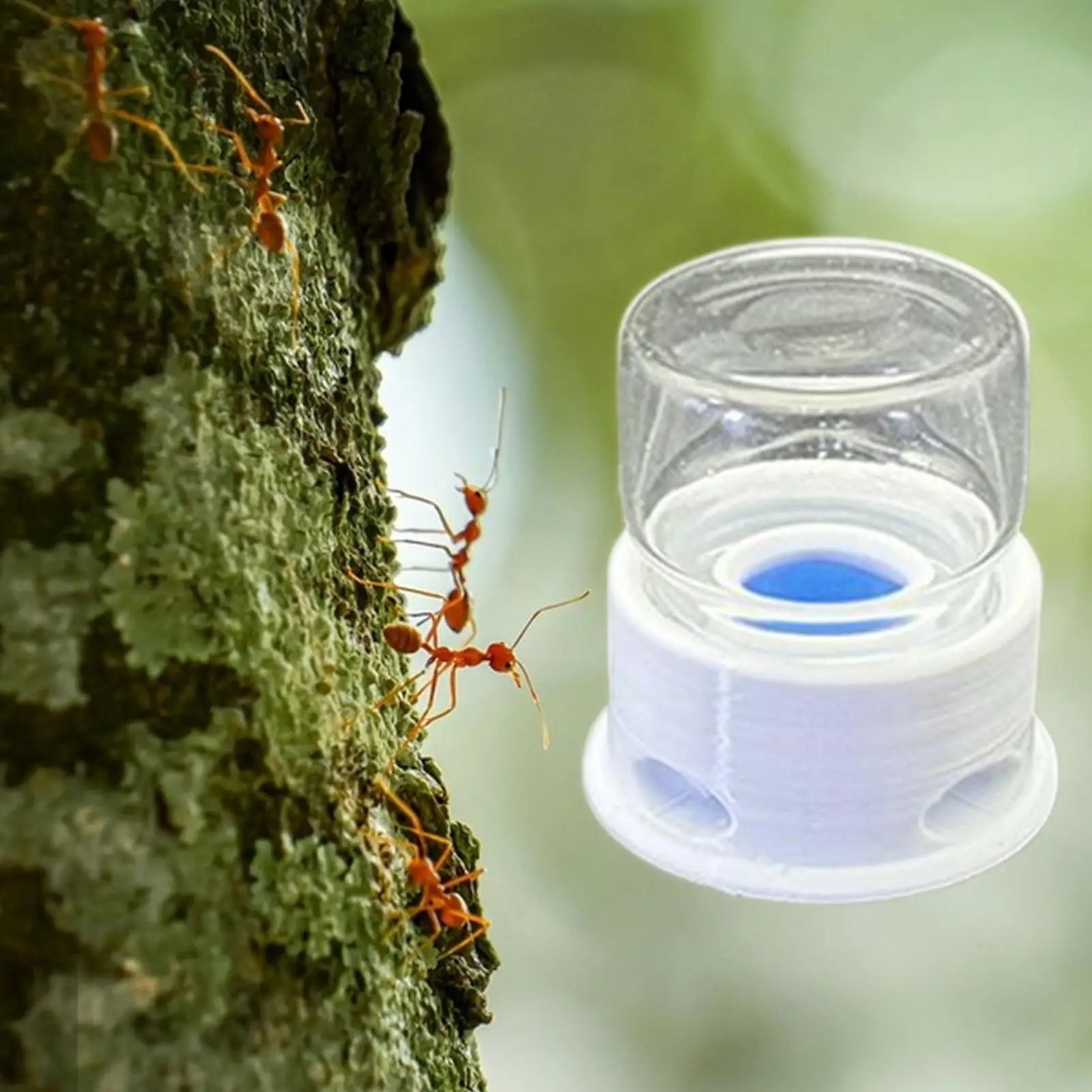 Ant Feeder Crickets Water Station Anti-Drowning Transparent Drinking Feeder for Ant Bee Crickets Home Classroom Outdoors - Image 3
