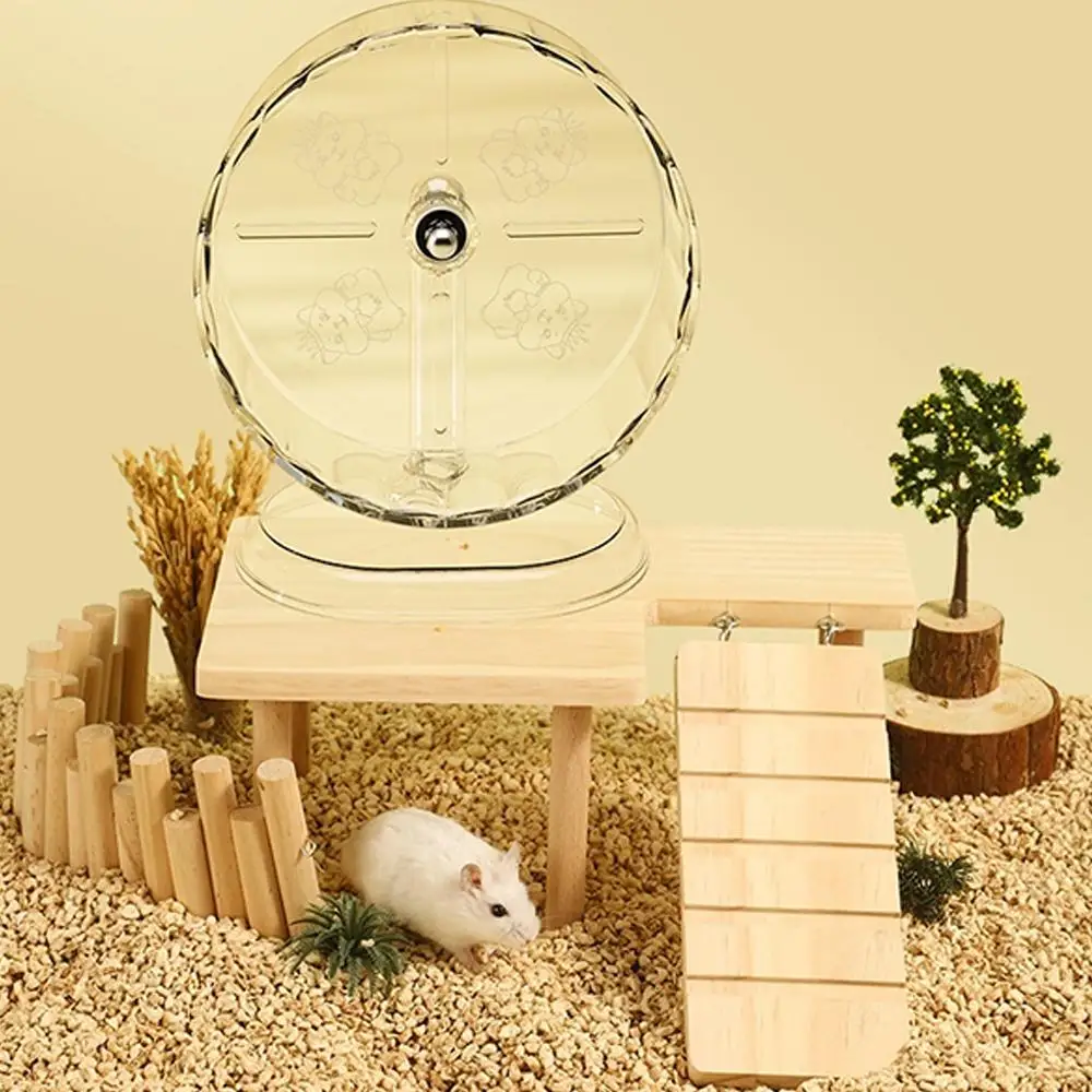 Hamster Running Sport Transparent Running Wheel Support Toy Small Pet Roller Bearing Silent Running Wheel Pets Accessories - Image 5