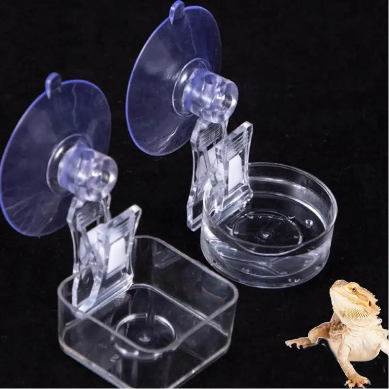 Reptile Water Food Bowl Suction Cup Food Tray Gecko Reptile Lizards Spider Tree Frogs Feeder Habitat Decoration Pet Supplies - Image 2