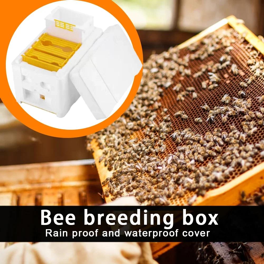 Beehive Beekeeping Box Tools Bee Hive Frame Holder Equipment Kit Beehive Pollination King Bees Hive Box For Beekeeper Supplies - Image 2