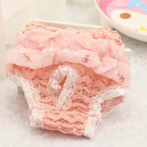 Dog Diapers Physiological Pant Puppy Women's Panties Shorts Underwear Elasticity Female Dog Diper Panties Pet Dog Clothes