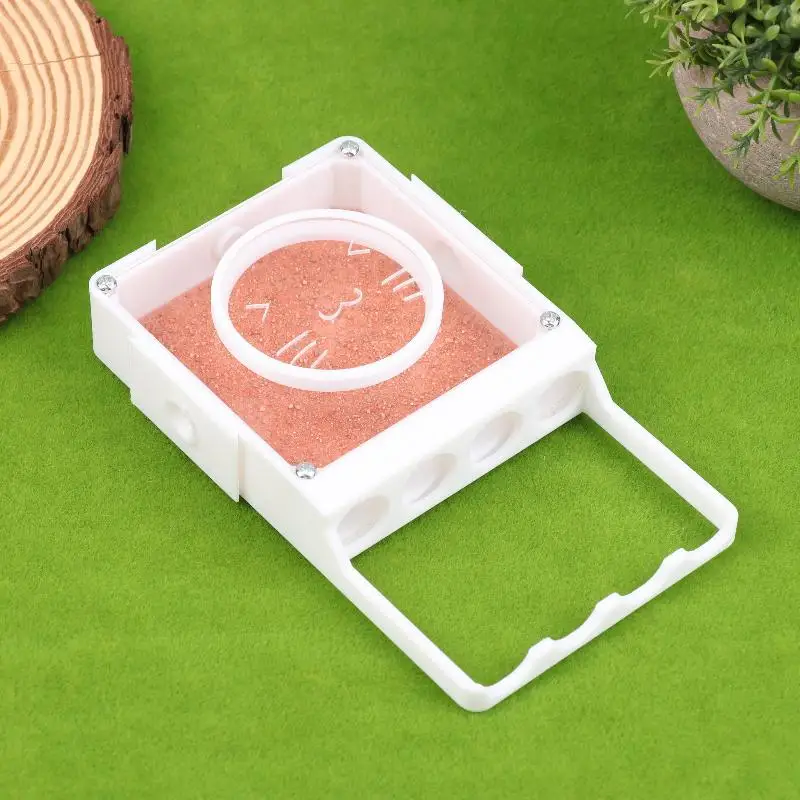 Experiment and Observe with the Queen Ant's Nest Ant Farm, Unlock the Wonders of Nature - Image 8