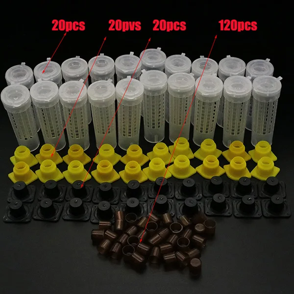 Beekeeping King Queen Bee Rearing System Box Plastic Cup Cell Protection Cover Cage Apiculture Kit Bees Tools Supplies 1 Set - Image 7