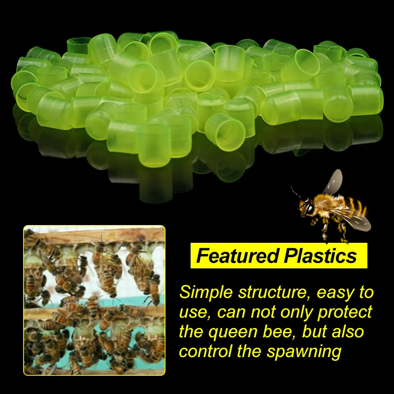 1 Set Beekeeping Cages King Queen Rearing System Plastic Bee Catcher Box Cell Cups Complete Kit Apicultura Tools Supplies - Image 3