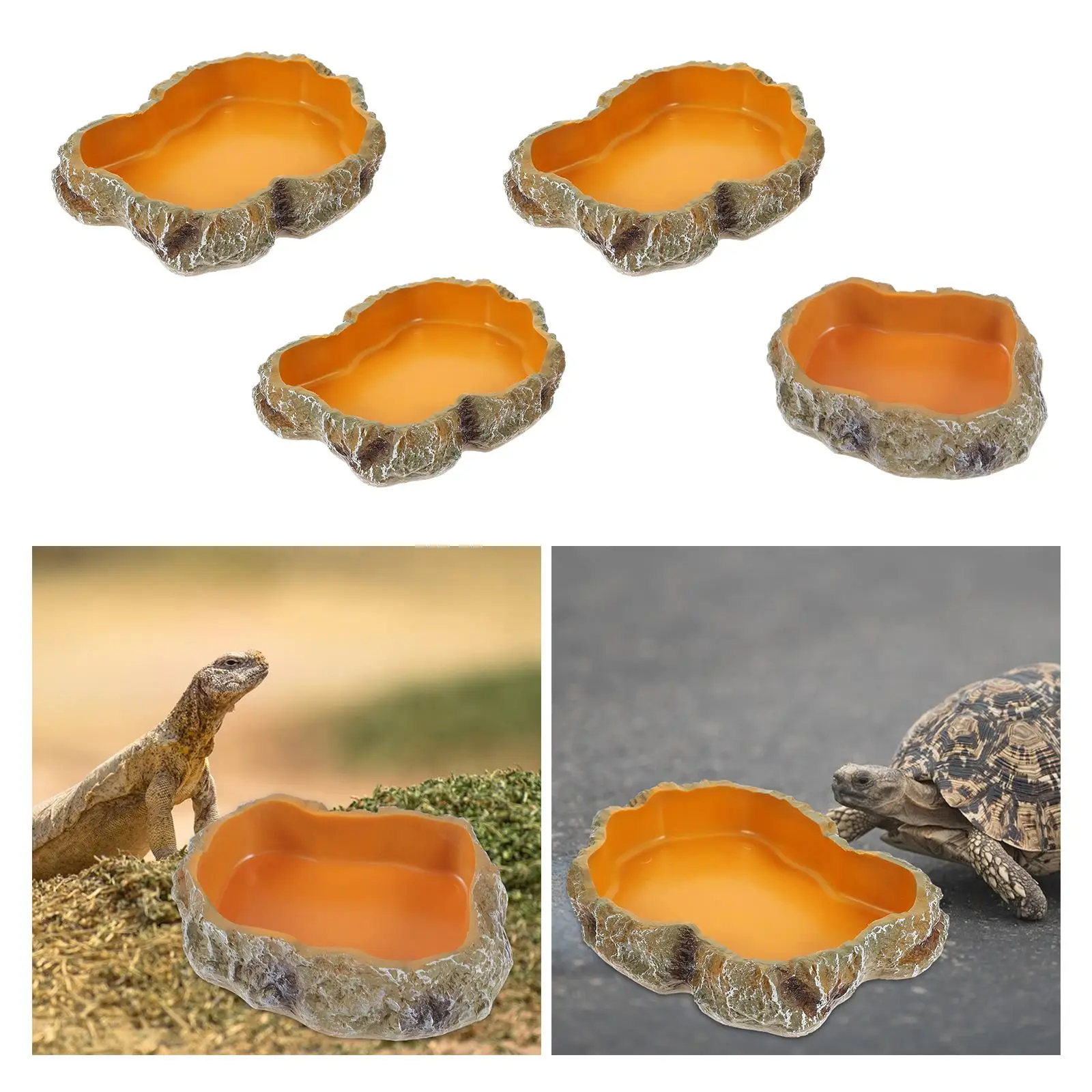Reptile Water Bowls Terrarium Plate Reptile Feeder Amphibian Feeding Bowl for Frog Chameleon Tortoise Bearded Dragon Turtle - Image 3