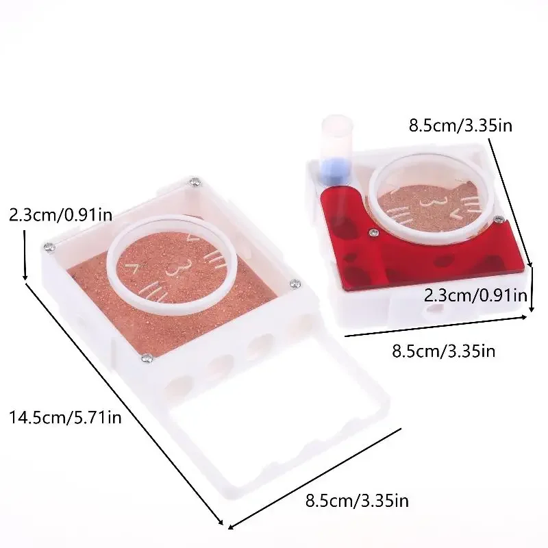 Experiment and Observe with the Queen Ant's Nest Ant Farm, Unlock the Wonders of Nature - Image 5