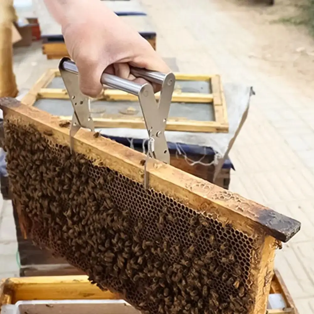 1 Pc Bee Hive Frame Clip Bee Nest Box Frame Holder Tool Bee System Queen Beekeeping Beekeeper Rearing Capture Equipment Grip New - Image 5