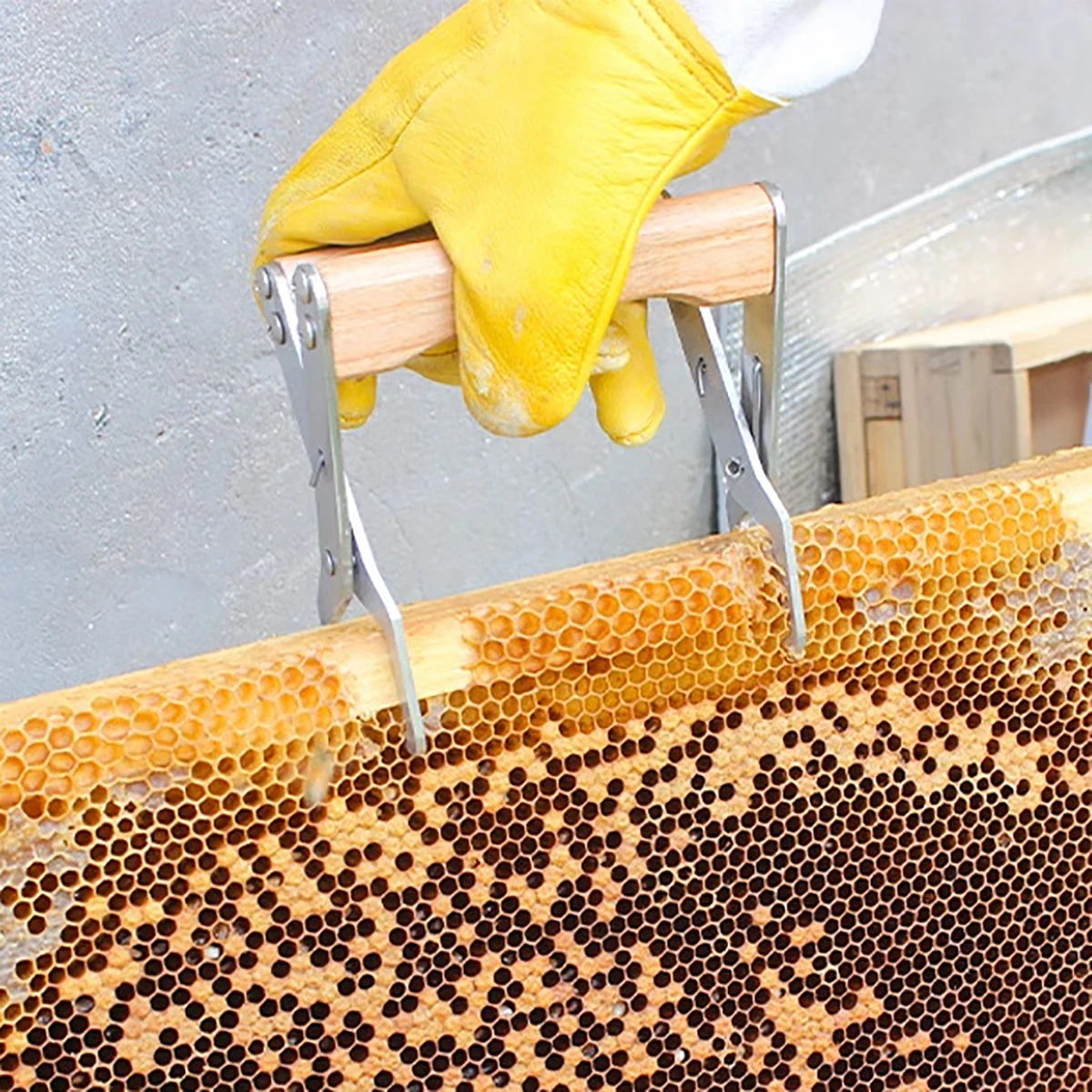 Bee Hive Frame Clips Stainless Steel Wooden Honeycomb Spleen Lifter Beekeeper Beehive Inspection Capture Grip Cramp Beekeeping - Image 6