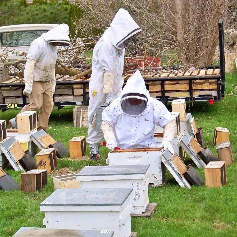 1 Pair Safe Beekeeping Gloves Professional Anti-sting Anti-bee Gloves Canvas Sheepskin Beehive Tools Beekeeping Tools - Image 2