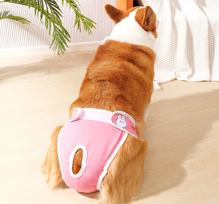 Reusable Female Dogs Diaper Pants Sanitary Female Dog Pants Diapers for Dogs Menstruation Pet Cat Physiological Safety Pants - Image 4