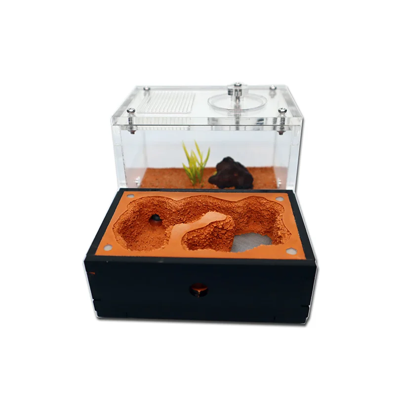 Hot sale Ant farm nest with External Water Tower with Garbage Area Anthill Castle Insect Box Concrete Ant House 15*11.5*9cm - Image 3