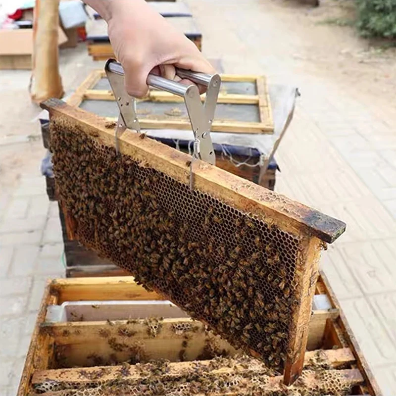 Bee Hive Frame Holder Honeycomb Clips Capture Frame Grip Beekeeping Accessories For Supplies Beekeeper Apiculture Tools - Image 2