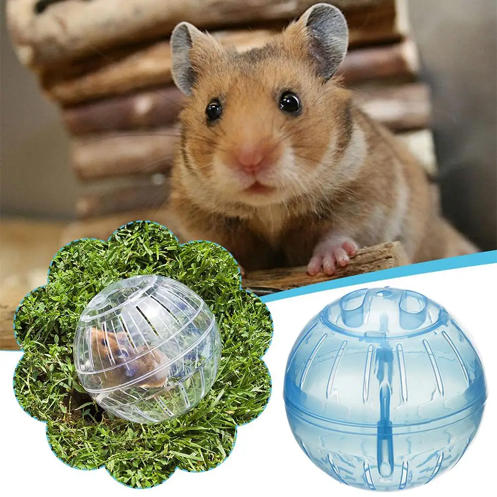 Transparent Acrylic Hamster Exercise Wheel Escape Proof Small Safe Portable Lightweight Multi Activity Pet Cage Design P5F9 - Image 3