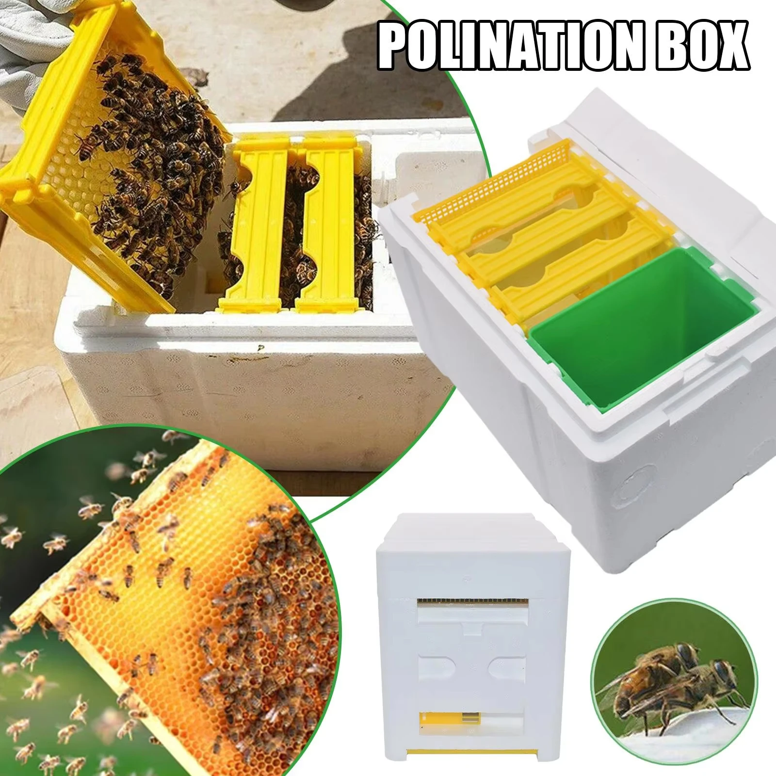 Queen Bee Breeding Box Bee Mating Box Foam Bee Hive Box Beekeeper Garden Pollination Box Bee Breeding Case Beekeeping Equipment - Image 3