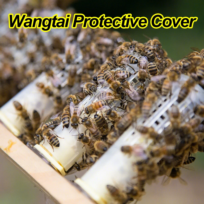 1 Set Beekeeping Cages King Queen Rearing System Plastic Bee Catcher Box Cell Cups Complete Kit Apicultura Tools Supplies - Image 6